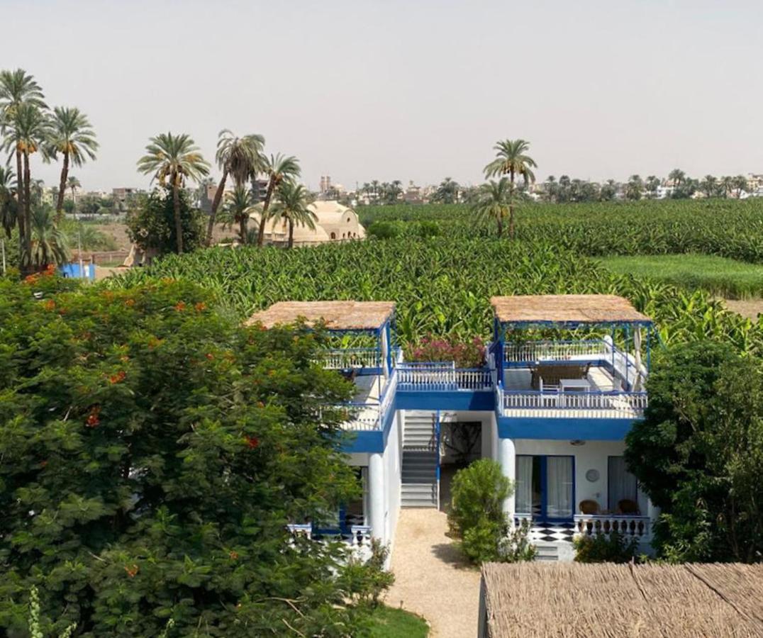 Villa Kaslan Apartments Luxor Eksteriør billede