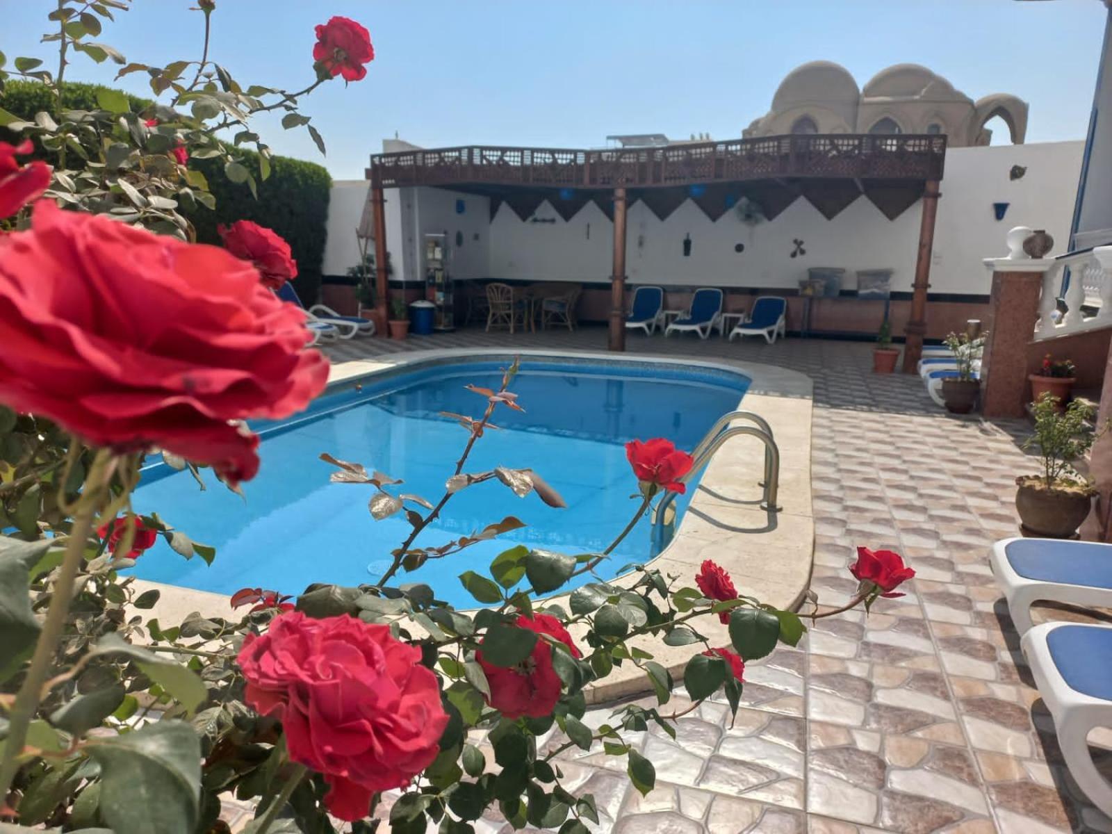 Villa Kaslan Apartments Luxor Eksteriør billede